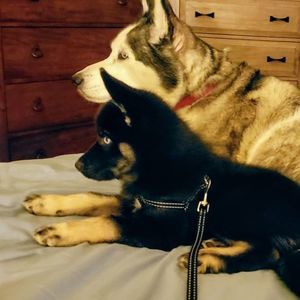 Meet your Posher, Laura